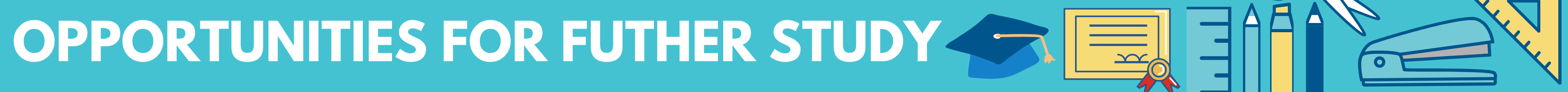 Opportunities for further study